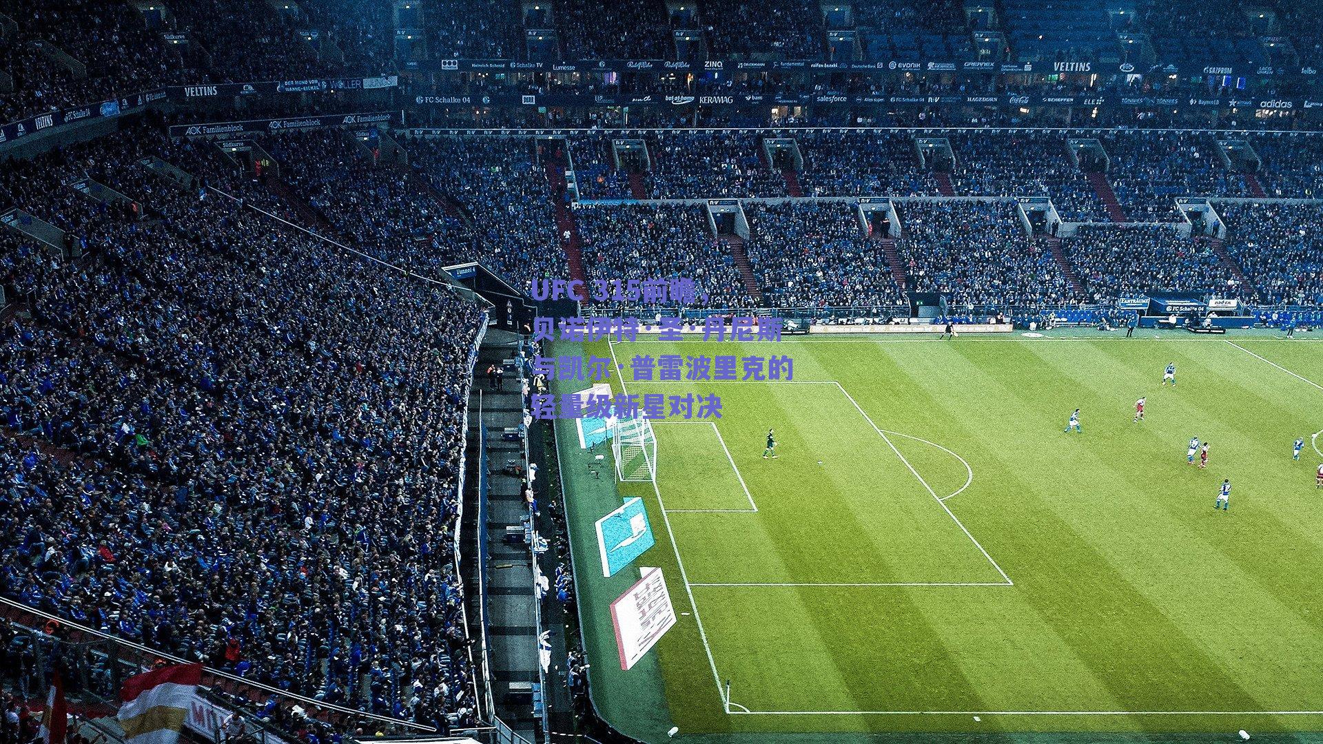 UFC 315前瞻，贝诺伊特·圣·丹尼斯与凯尔·普雷波里克的轻量级新星对决