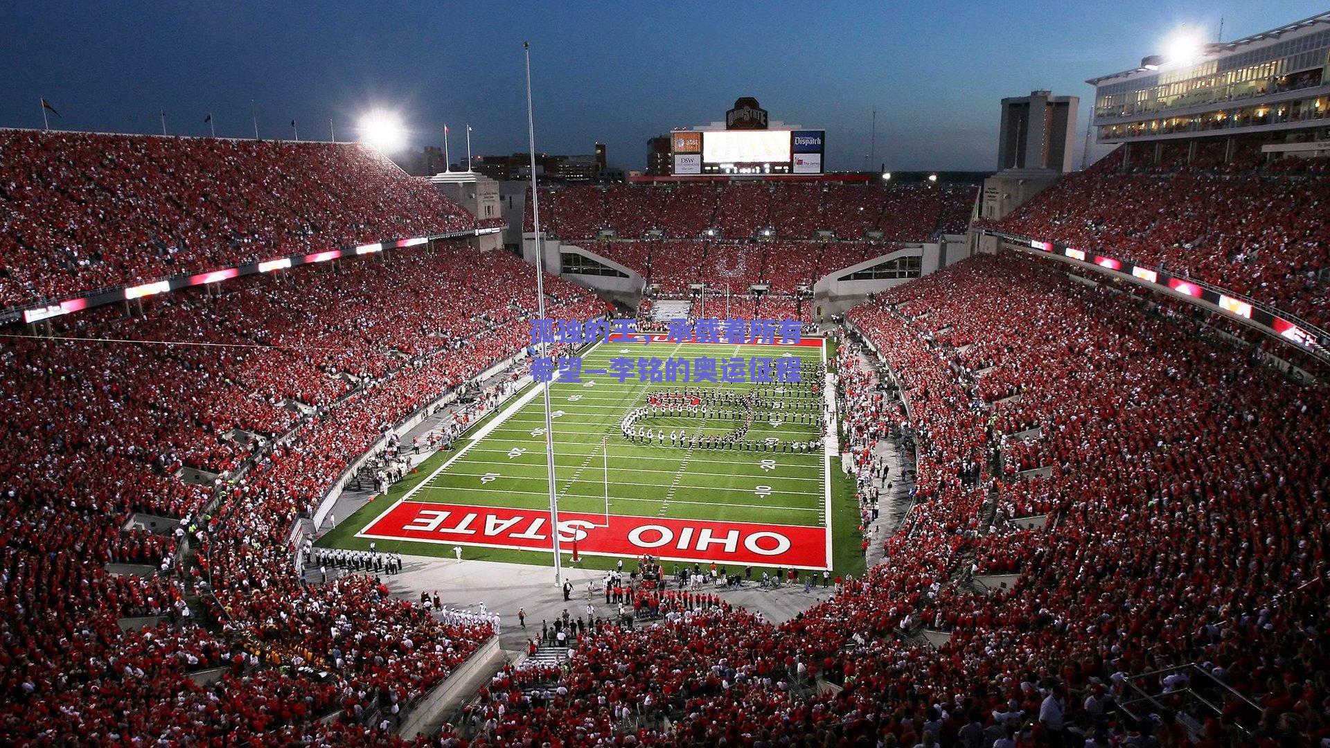 孤独的王，承载着所有希望—李铭的奥运征程