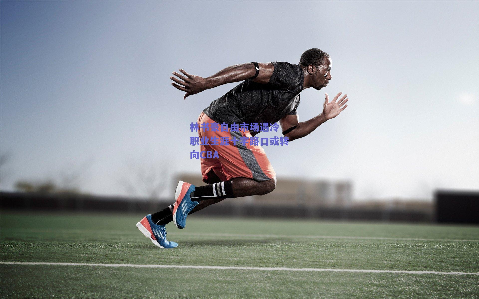 林书豪自由市场遇冷 职业生涯十字路口或转向CBA