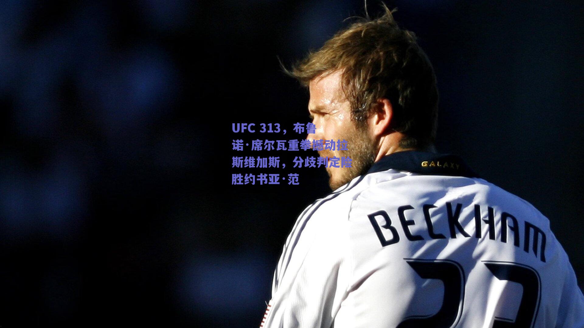 UFC 313，布鲁诺·席尔瓦重拳撼动拉斯维加斯，分歧判定险胜约书亚·范